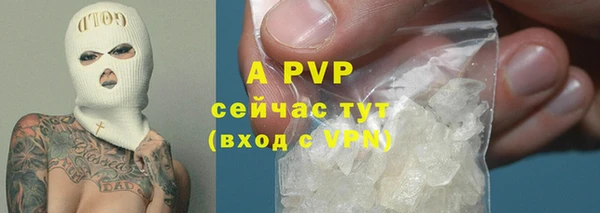 стаф Алексеевка
