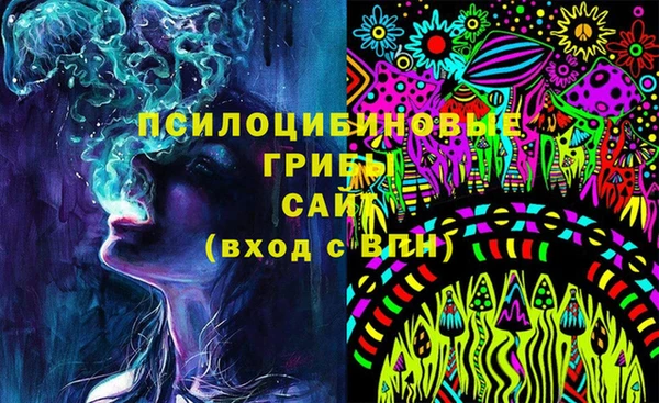 стаф Алексеевка