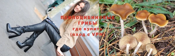 скорость Алзамай